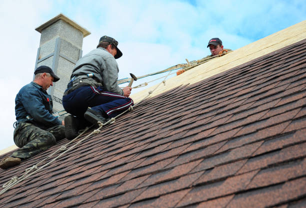 Roof Gutter Cleaning in Greenwood Lake, NY